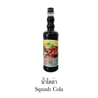 Siro Squash Cola - Ding Fong